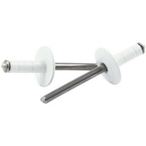 Allstar Performance Lg Hd Rivet White 250pk Multi Grip ALL18096