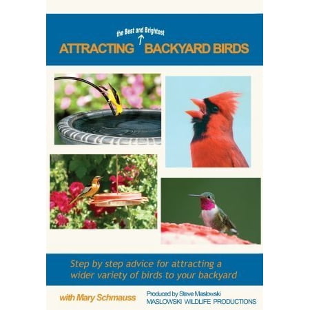 Attracting the Best and Brightest Birds, Video