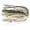 Baby Bass, variant on Z-Man Banded SkirtZ Replacement Skirt 5 pack