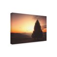 thumbnail image 2 of Philippe Sainte Laudy 'Hope is Reborn' Canvas Art, 2 of 3