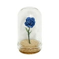 thumbnail image 1 of Plantas en maceta para casa de muñecas, rosas para casa de muñecas, micropaisaje azul a escala 1/6 y 1/12, 1 of 9