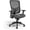 Kroy, variant on STAPLES Tervina Luxura Mid-Back Manager Chair