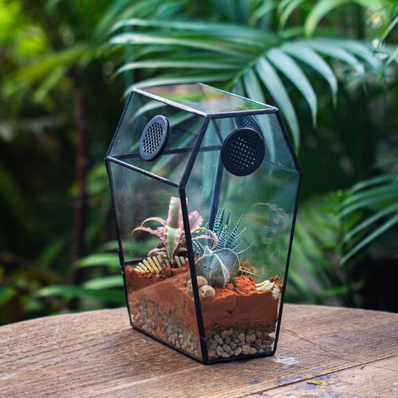 NCYP Gothic Glass Enclosure for Jumping Spider, Snails, Insects - Front Opening Door Geometric Cactus Plants Terrarium with Vent Holes, Indoor Tabletop Coffin Shape Decor, Black (Terrarium Only)