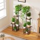 thumbnail image 5 of Soporte para plantas LATIBELL, paquete de 2, de 5 niveles, con luz de cultivo, 5 of 8