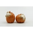 thumbnail image 2 of Ceramic Autumn Harvest Pumpkins Salt and Pepper, Home Décor, Gift for Her, Mom, Kitchen Décor, Fall Décor, Thanksgiving, 2 of 4