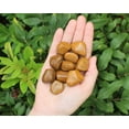 thumbnail image 2 of Yellow / Brown Jasper Tumbled Stones (Crystal Healing Yellow Jasper) 2 oz Lot, 2 of 6