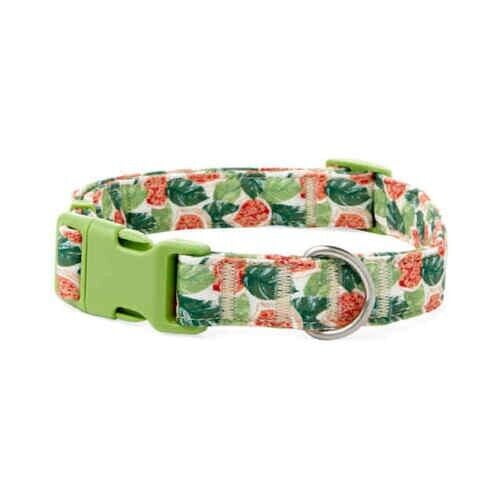 YOULY The Wanderer Green & Multicolor Go Fig-ure Dog Collar, Medium
