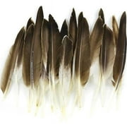 MIDWEST DESIGN IMPORTS Duck Wing Quill Feathers 22/Pkg-Natural