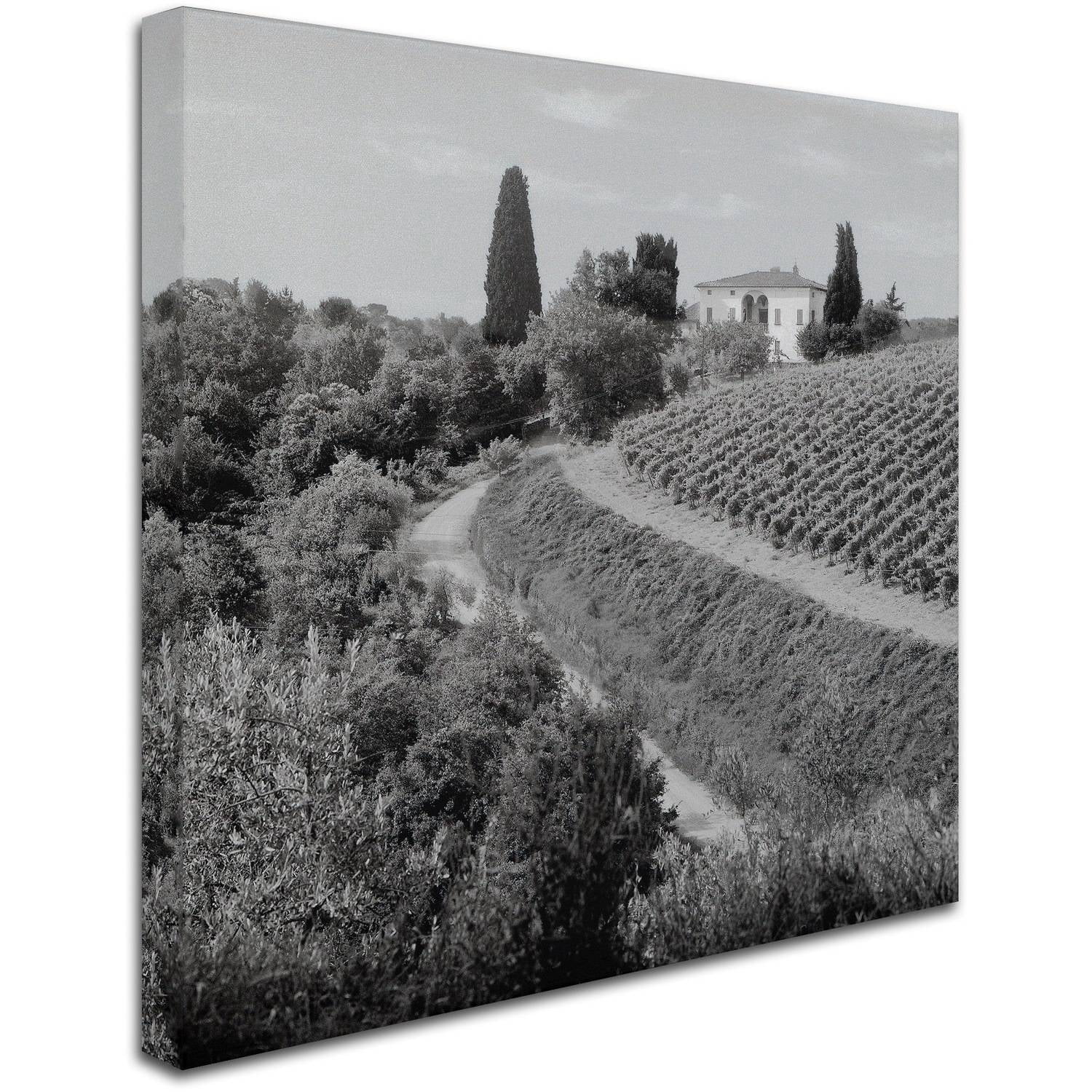 Trademark Fine Art "Tuscany V" Canvas Art by Alan Blaustein