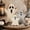 T6-B, variant on Halloween Decorations Indoor 3 Pcs Farmhouse Wooden Ghost Decor For Tiered Tray Coffee Table Cabinet Cute Halloween Decor Halloween Kitchen Decor For Home Office Holiday Arrangement,A