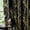 Gold on Black, variant on 100% Blackout Curtains Ivory Gold Tree for Living Room, Curtains 84 Inches Long Foil Branch Patterned Panels for Bedroom, Thermal Insulated Drapes Home Office Grommet Top 2 Panels