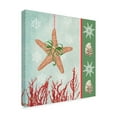 thumbnail image 2 of Trademark Fine Art 'Christmas Coastal III' Canvas Art by Jade Reynolds, 2 of 4