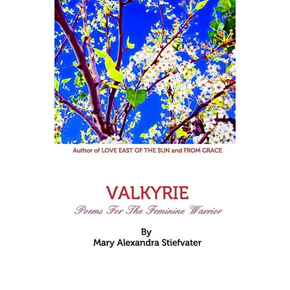 Valkyrie: Poems For The Feminine Warrior, (Paperback)
