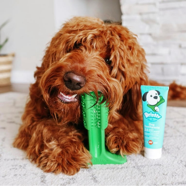 Healthy toothpaste top for dogs
