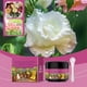 thumbnail image 4 of Blossoms Booster - para Plantas con Flores, Potenciador de Frutos y Flores, Nutrición Vegetal, 4 of 6