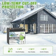 12V 100AH Mini LiFePO4 Lithium Battery Bluetooth,for RV,Solar,Marine,Camping,Trolling Motors,off Gird,Deep Cycles,TCBWORTH Group 22NF Battery,Smart 100A BMS