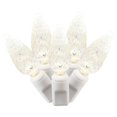 thumbnail image 1 of LED White Wire End Connecting 25 ft. Long Light Set with Warm White Lights, 1 of 1