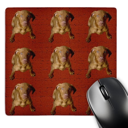 3dRose  Vizsla Puppy Pattern  MousePad price history on PriceWatchPro