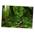 thumbnail image 3 of QualitChoice Aquarium Background 3D Background Poster Fish Wall Tank Sticker Decorations Grass Green 61x41cm, 3 of 6