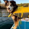 thumbnail image 5 of Level Six Rover Floater Dog PFD, 5 of 8
