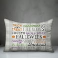 thumbnail image 3 of Creative Products Halloween Words 20 x 14 Spun Poly Pillow, 3 of 3