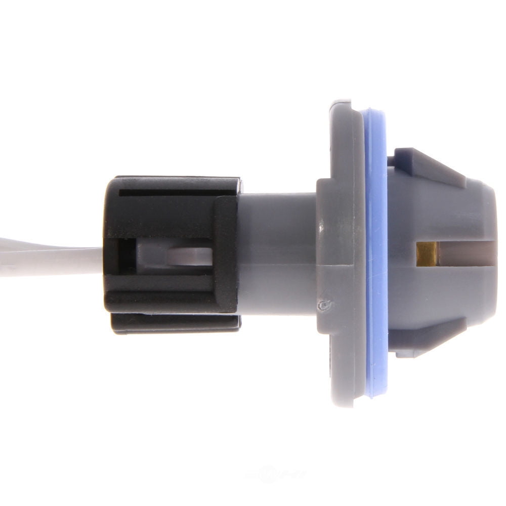 Back Up Light Socket