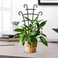 thumbnail image 6 of 4Pc Mini Plastic Trellis, Stackable Plant Support Stakes, Plastic Plant Stakes, Potted Plant Trellis, Indoor Plant Trellis for Climbing Plants, Lightweight Plant Stakes, Vertical Growth Trellis, 6 of 7