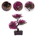 thumbnail image 3 of Plantas artificiales en macetas de escritorio Faux plantas en macetas Ornamento para bonsai para casa, 3 of 6