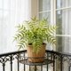 thumbnail image 5 of CaiYueKe Artificial Boston Fern Plants Bushes Fake Shrubs Bush Greenery Plants Faux Fern Plant for Outdoors UV Resistant Garden Plants or Home Office Desk Indoor Decor, 5 of 7