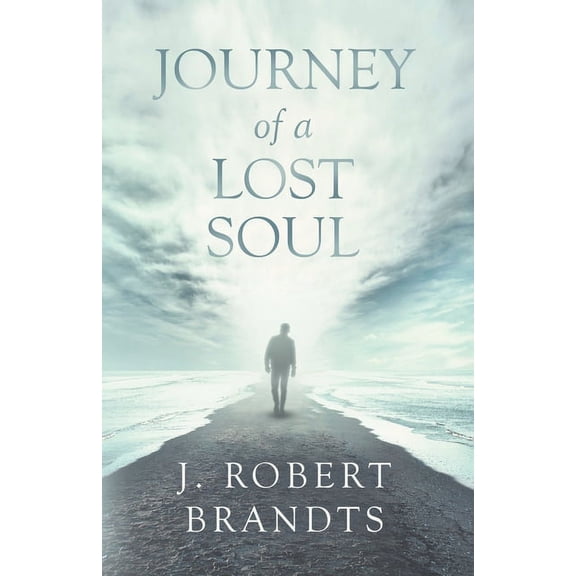 Journey of a Lost Soul Paperback Mr John Robert Brandts