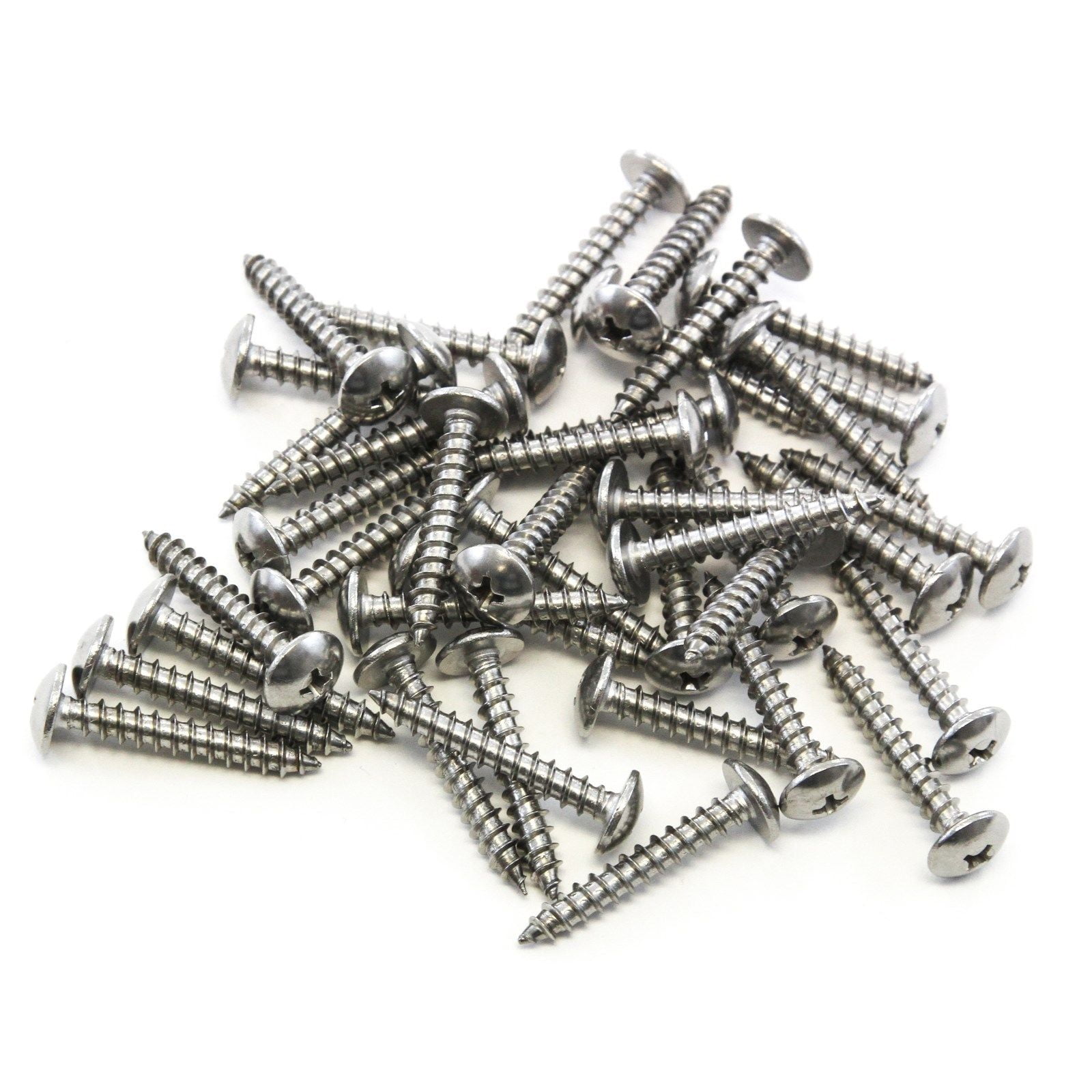 20 Pan Head Self Tapping Screw Set 304 SS Stainless Steel #10 x .75" 