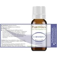 thumbnail image 2 of Cornmint Essential Oil 10 ml (Japanese Peppermint) 100% Pure Undiluted Therapeutic Grade., 2 of 3