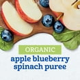thumbnail image 3 of Gerber Stage 2 Baby Food, Organic Apple Blueberry Spinach Puree Pouch 3.5 oz, 3 of 16