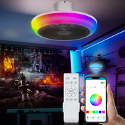 mollie 18" Low Profile Ceiling Fan With Lights and Remote, Modern Flush Mount Enclosed RGB 7-Color Ceiling Fan With Smart APP Control Music Speaker For Bedroom Living Room Party, Black
