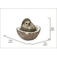 thumbnail image 3 of COCONUT HEDGEHOG, 3 of 4