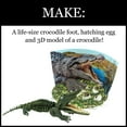 thumbnail image 4 of Learning Advantage WILD! ScienceExtreme Science Kit Crocodiles of the World for Grade 1+ CTUWES946, 4 of 7
