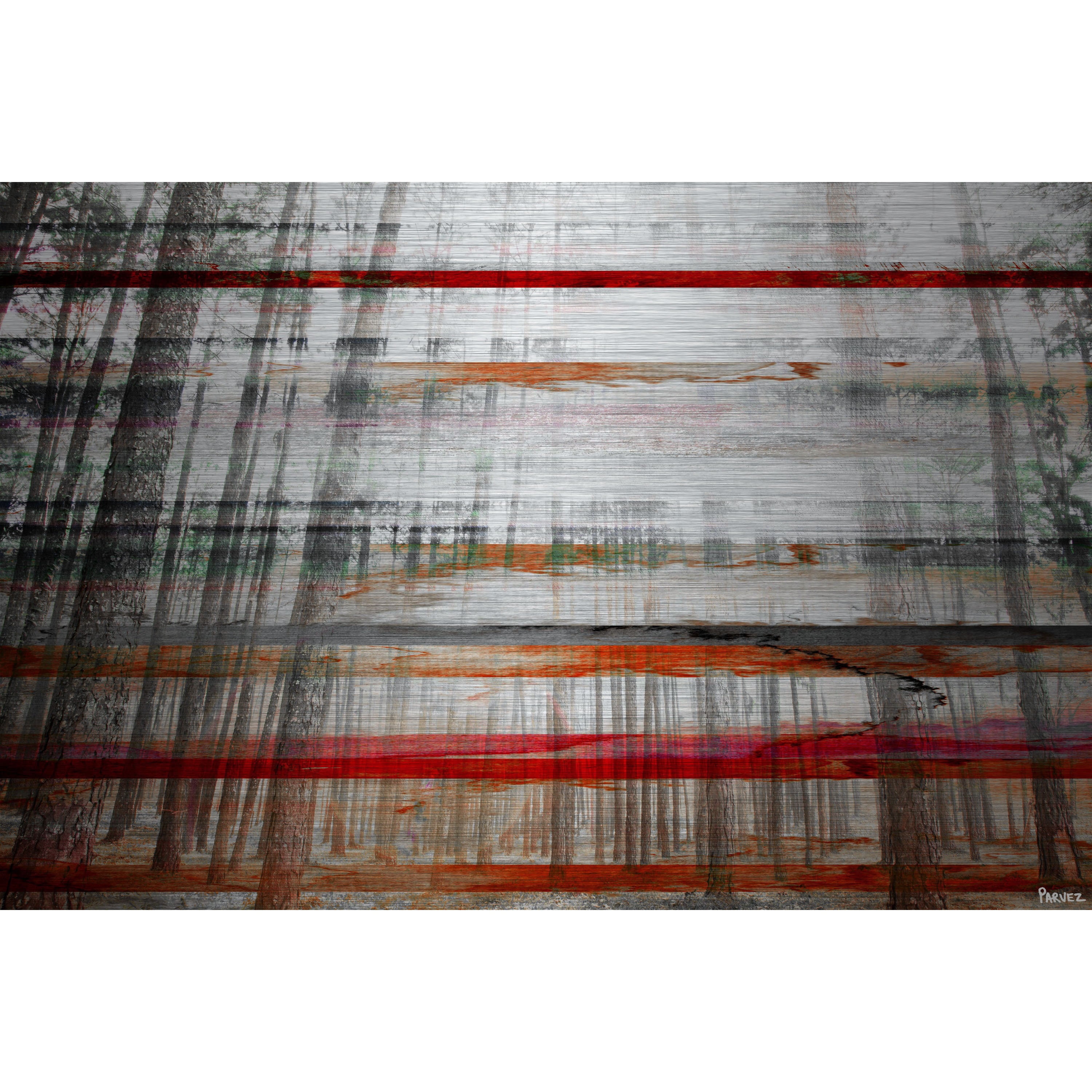 Parvez Taj Pt-Wnpw-137-Al-45 30" x 45" "Gray Trees" Art Print On Aluminum