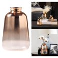 thumbnail image 3 of pitrice Glass Planter Vase Flower Plant Pot Terrarium Container 11x7cm Mouth 3cm, 3 of 9