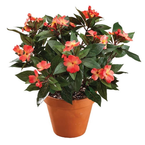 Impatiens Bush by OakRidgeOrange