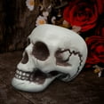 thumbnail image 2 of Matoen Halloween Skeletons Plastic Realistic Human Skull Head Bone Model Ghost House Props Halloween Party Supplies, 2 of 9