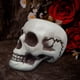 thumbnail image 1 of Xihbxyly Esqueleto de Halloween, Cabeza de Calavera de Plástico Realista, Decoración Espeluznante, Ideal para Fiestas y Bares, Uso En Interiores y Exteriores, Seguro y Ecológico, Tamaño 13 X 15 X 19, 1 of 7