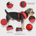 thumbnail image 2 of LED Dog Harness, USB Rechargeable Dog Vest Luminous + Reflective Design, Adjustable Dog Safety Harness with Padded, Lightweight Collar for Dogs, Puppi, 2 of 4