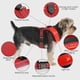 thumbnail image 2 of LED Dog Harness, USB Rechargeable Dog Vest Luminous + Reflective Design, Adjustable Dog Safety Harness with Padded, Lightweight Collar for Dogs, Puppi, 2 of 4