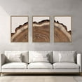 thumbnail image 4 of Tree Rings Wood Wall Art Framed Set, Modern Beige Wood Stump Wall Decor, Abstract Tree Spiral Wall Painting,Nature-Inspired Art Print for Living Room, Bedroom, Dining Room, Office-16 x24 x3, 4 of 6