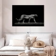 thumbnail image 2 of Elephant Stock Wild Cat Monochrome Wall Art - Horizontal Canvas Wall Art - Living Room Wall Decor - Animal Canvas - Black And Gray Decor - 45" x 30", 2 of 8