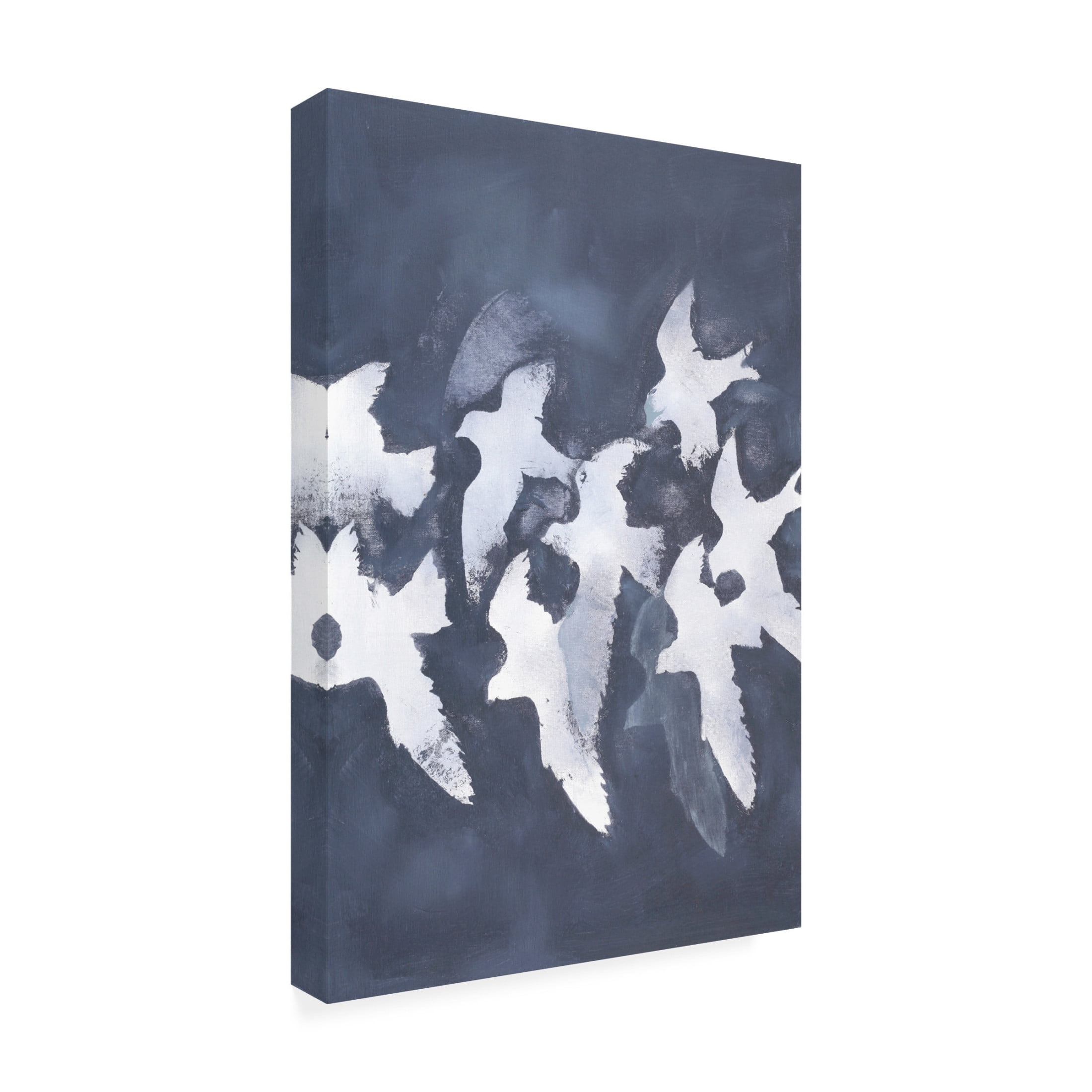 Canvas Wall Art - Design Fabrikken 'Fades Into Light' Wall Art for Living Room, Bedroom, or Office Décor by Trademark Fine Art - 16 x 24 Inches