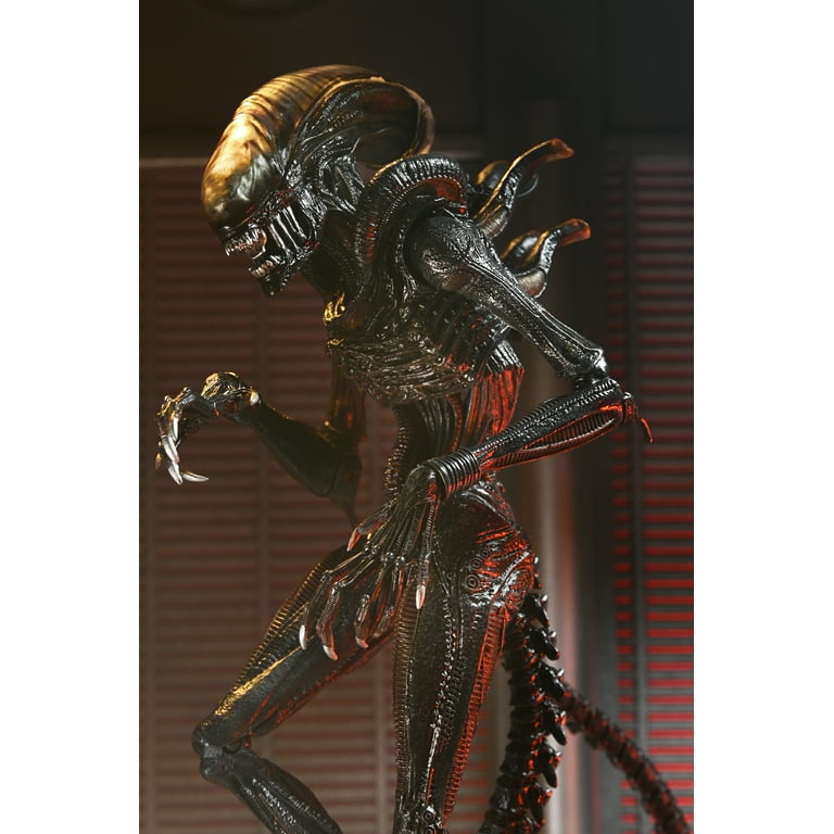 NECA Scorched Xenomorph (未開封品:外箱ダメージ有り) Alien: Romulus Ultimate Scorched Xenomorph 7