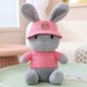 thumbnail image 1 of 30/45/60cm Comfortable / Soft / Cute / Rabbit Plush Toys / Toby Rabbit Toys with Clothes and Hats / Children's Birthday Giftgrey30cm Deng Xun unisex, 1 of 2