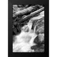 thumbnail image 2 of Taylor, Douglas 13x18 Black Modern Framed Museum Art Print Titled - Trailside Waterfall III BW, 2 of 5