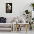 thumbnail image 3 of Stupell Industries Coastal Feathered Egret in Soft Light Black Framed Giclee Art, 12 x 18, by Petals Prints Design, 3 of 8